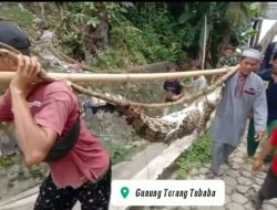 Seorang Warga Masyarat Tiyuh Gunung Terang Kecamatan Gunung Terang Kab Tulang Bawang Barat Dapet Se Ekor Buaya Begini Cerita nya.