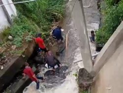 Seorang Warga desa Babatan hanyut terbawa derasnya arus sungai, yang melintas di tengah Desa