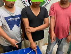Lagi Asyik Nyabu, JFP Bersama 2 Rekannya Di Bekuk Satnarkoba Polres Toba Di Cafe
