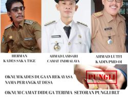 Viral” Diduga Kadis PMPD OI Minta Pelicin Dana Desa