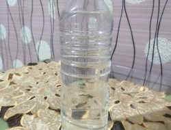 Berbagai Macam Penyakit Dapat Tersembuhkan  oleh Minyak VCO Dari Sari Murni Keplapa   Publikasipendidikan.com|Empat lawang hadirkan obat herbal alami yang terbuat dari sari kelapa murni mengatasi segala macam penyaki mulai dari kencing manis,menurunkan gula darah,colestrol,deman panas tinggi,malaria,darah tinggi,darah rendah malaria ,nyeri ,sendi,rematik,pengelihatan berekunang kunang,jantung dan penyakit lain nya   Minyak vco dari sari kelapa ini terbukti ampuh  dan murni  Rama lingkungan dapat di minum dari usia anak anak hingga dewasa sehingga tanpa epek samping di jami 100% halal boleh di coba khasiatnya .  Memang selama ini minyak vco yang terbuat dari kelapa ini sudah lama ada dan sering di dengar akan tetapi langkah orang membuatnya ,tapi sekarng minyak vco ini hadir kembali dengan pembuat dari tangan masyarakat yang berasal dari kelurahan pagar tengah kecamatan pendopo kabupaten empat lawang.  Dengan kasiat minyak vco ini warga setempat khususnya berdatangan membeli minyak vco ke rumah masyarakat mulai dari umur yang muda hingga tua   Ada beberapa masyarakat yang awak media temui,saat awak media bertanya ,maap pak bapak sakit apa sehingga bapak membeli obat minyak vco ini,beliau menjawab sakit colestrol,dan darah tanggi,yang kemaren sakit sekarang sudah mulai membaik berkat minyak vco ini  Dari banyak masyarakat yang awak media tanya sakit apa dan di jawab bergai macam penyakit adanya minyak vco insa Allah banyak yang Tersembuhkan  memang minyak ini langkah mungkin di empat lawang ini satu satunya yang membuat minyak vco ini, karena pembuatannya alami dan tidak terlalu banyak maka dari itu masyarakat sini sering kekurangan atau banyak yang membutuhkan .  Nah sekarang bagi yang berminat bisa menghubungi   kami hub.082376815217 minyak vco ini kesedian terbatas    Red