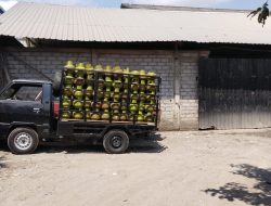 Ada Apa Dengan APH, Gudang LPG ilegal Di Denpasar Buka dengan leluasa Tanpa Terendus Aph Setempat