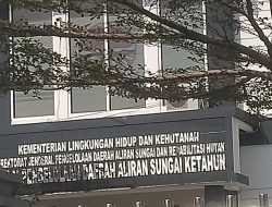 Di duga Kegiatan Proyek Rehab Hutan Lindung( RHL) di Provinsi Bengkulu jadi Ladang Korupsi
