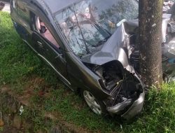 Ngeri,,!! Akibat Diseruduk Dari Belakang Pengemudi Daihatsu Ayla Meninggal Dunia Setela Tepental Tabarak Pohon