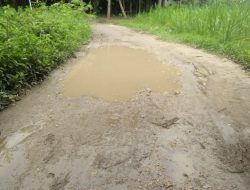 Jalan Di Desa Paseyan Dusun Lembung Dikeluhkan Pengguna Jalan