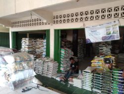 Harga Beras di Tulang Bawang Sudah Mulai Berangsur Turun