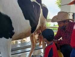 Dairyland Farm Theme Park Prigen: Destinasi Wisata Edukasi dan Rekreasi Keluarga Berbasis Susu yang Diminati Anak-Anak dan Pelajar