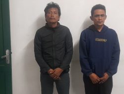 Intel Kodim 0210/TU Bersama Koramil 22/Tarutung Berhasil Tangkap 2 Pelaku Pencurian Kerbau