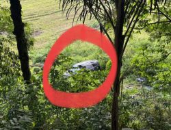 Alami Ban Tergelincir, Mobil Innova Berisi Satu Keluarga Masuk Jurang di Jangga Dolok