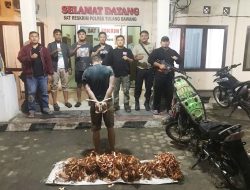 Tekab 308 Presisi Polres Tulang Bawang Tangkap Pelaku Spesialis Curat Kabel PLN Yang Merupakan DPO dan Residivis