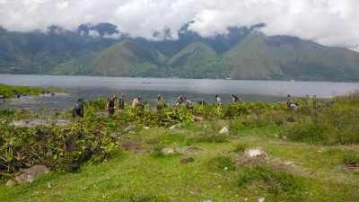 Ratusan prajurit Kodim 0210/TU Bersihkan Eceng Gondok di Danau Toba