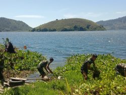 Kodim 0210/TU Terus Gencar Laksanakan Aksi Pembersihan Eceng Gondok di Danau Toba