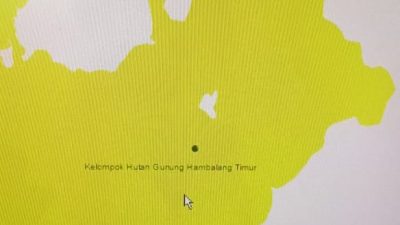 Hasil Telaahan Balai Pemantapan Kawasan Hutan(BPKH) Wilayah XI SHM Yang Terbit Dalam Kawasan