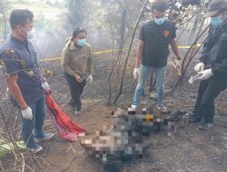 Kapolres Humbahas Perintahkan Satreskrim dan jajarannya Segera Tangani Kasus Kebakaran Lahan yang Telan Korban Jiwa