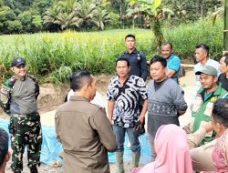 Dandim 0210/ TU Bersama Bupati Taput Tinjau Progres Pembangunan Jembatan Pasca Bencana di Purba Tua