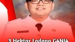 Bupati Empat Lawang Apresiasi Kinerja Polres Yang Membongkar 3 Hektar Ladang Ganja