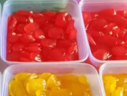 Manisan kolang Kaling usaha bersama di kelurahan pagar tengah  pecahkan rekor  di buat secara alami